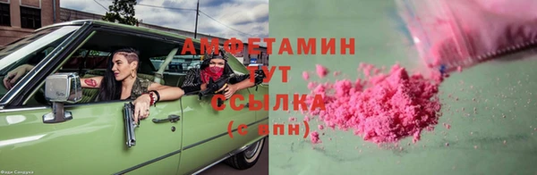 прущие грибы Бугульма